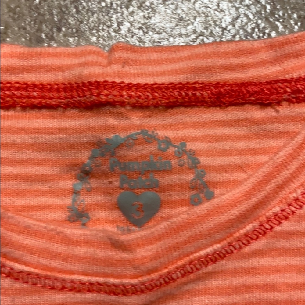 3 piece Pumpkin Patch outfit - Picture 7 of 13